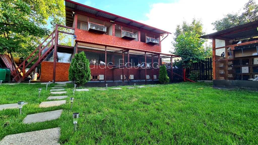 Crescătoria/Loft – Eduard&nbsp;Vâjâiac